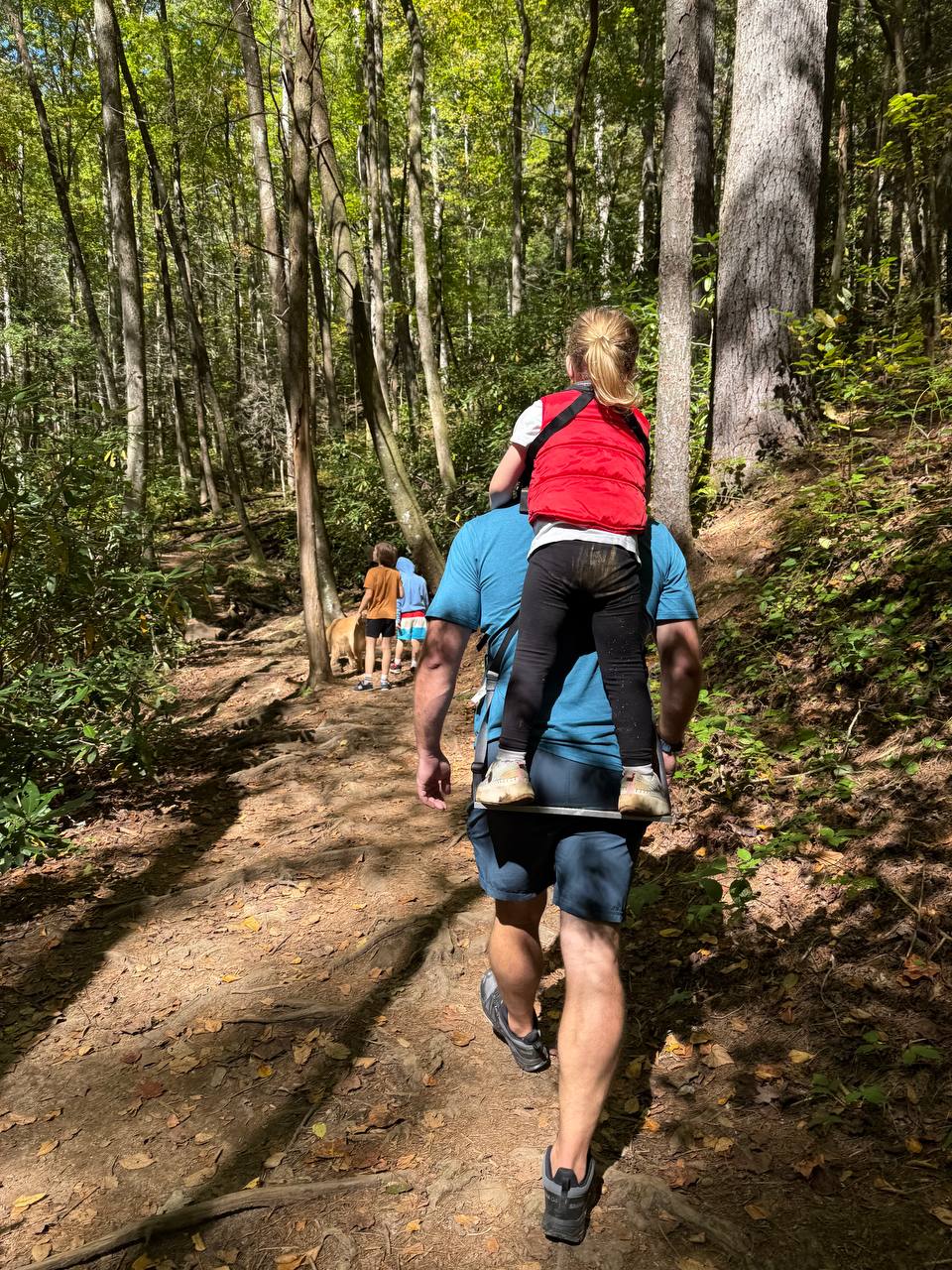 Dad hiking a trail with kids through the forest