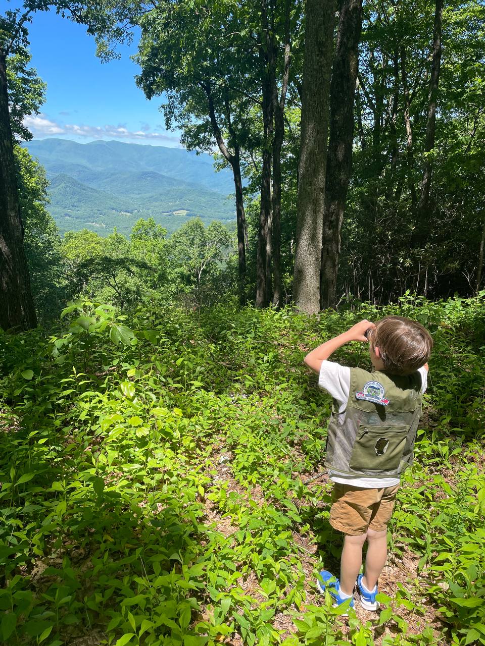 Kid standing at a mountain overlook exploring the view